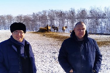 Локомотивы роста